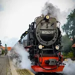 Holiday home Ferienpark Harz In Hasselfelde