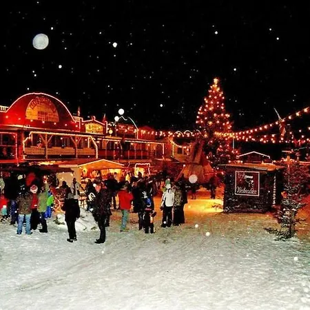 Harz Park, Ferienhaus *