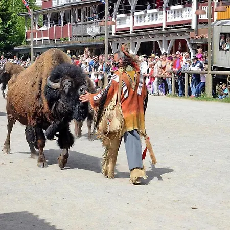 Ferienhaus Harz Park,