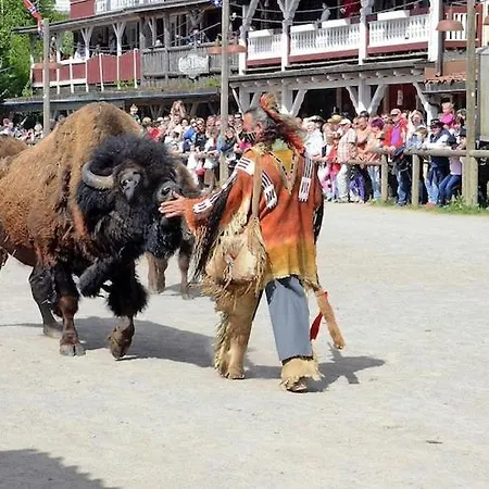Harz Park, Ferienhaus