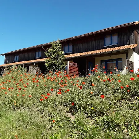 Ferienhaus Harz In *