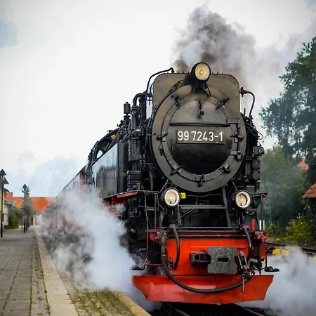 Casa de Férias Harz In