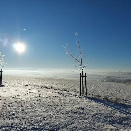 Ferienhaus Harz In *